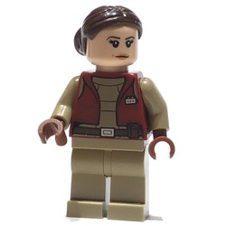 Padme Amidala / Naberrie, Dark Red Senator Outfit, Bun Hair