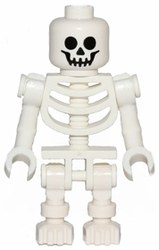 Skeleton, 28621 Head